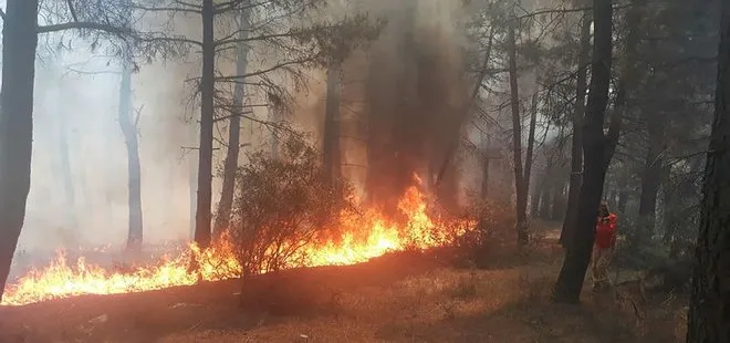 İstanbul Kartal Aydos Ormanı’nda yangın çıktı