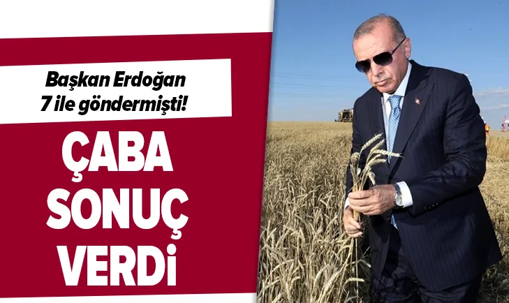 Başkan Erdoğan 7 ile göndermişti! Sonuç verdi