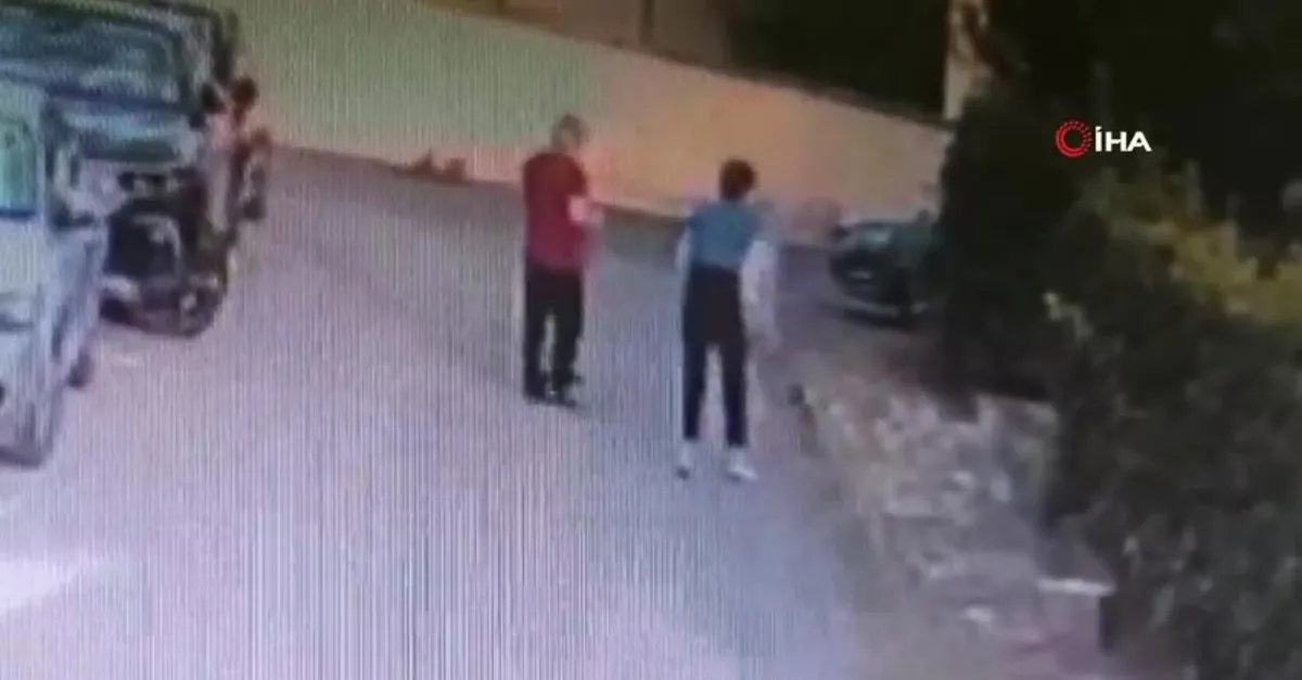 Kangal köpeği başka bir köpeği parçaladı! Sahibi kalp krizi geçirdi