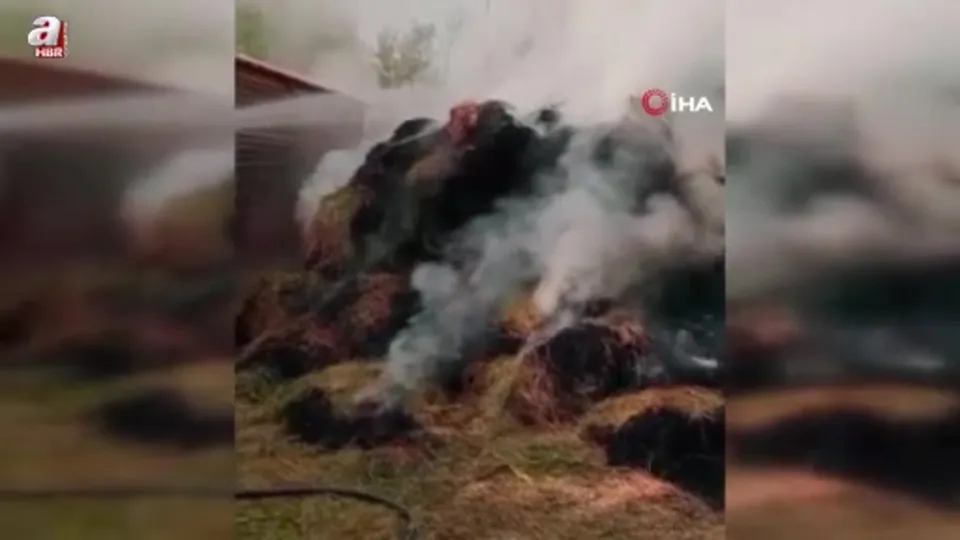 Yüksekova’da ot yangını