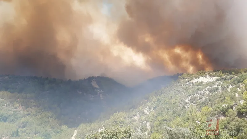 Son dakika: Antalya Manavgat'ta orman yangını! Alevler yerleşim yerlerine sıçradı 24