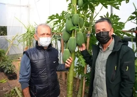 İspanya'da tadına baktı Mersin'e getirdi! Bir sezonda kazandığı para şaşırttı! Paraya para demiyor...