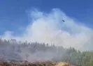 Mersin ve Adana’da orman yangını!
