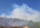 Mersin ve Adana’da orman yangını!