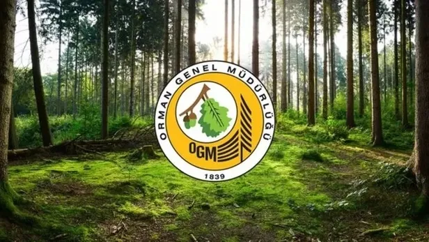 OGM personel alımı başvuru LİNKİ! OGM ve DSİ işçi alımı başvuru şartları açıklandı mı? OGM personel alımı detayları... - 2