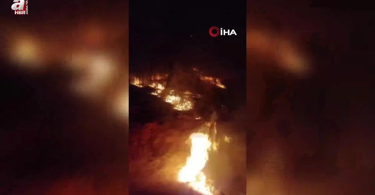 Gazipaşa’da ormanlık alanda yangın