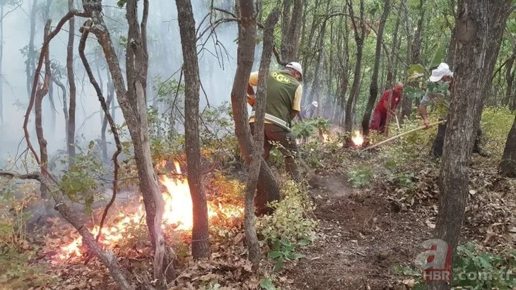 6 ildeki orman yangınlarında son durum