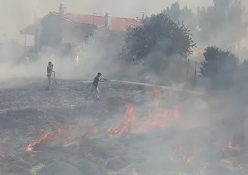 Yunanistan'da orman yangınları olağanüstü hal kararı aldırttı
