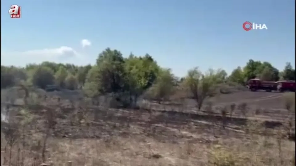 Bilecik’te yaşanan anız yangını