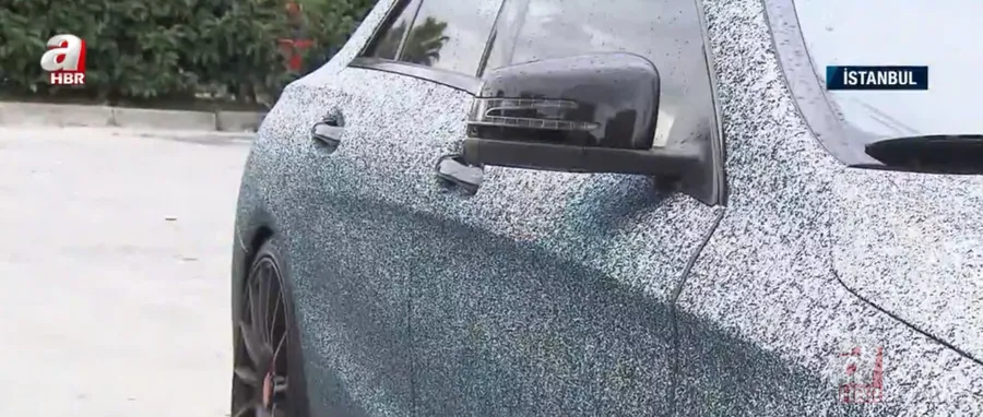 Diamond otomobiller ilgi odağı! İlginç diyalog: İçin acımadı mı? 23