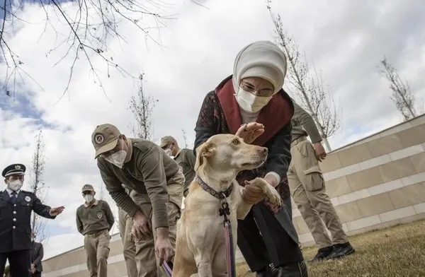 Son dakika: Hayvan hakları yasası tamam! İşte madde madde tarihi düzenleme - 2