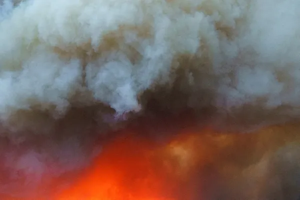 Son dakika | Tarım ve Orman Bakanlığı duyurdu! Yangınlarla mücadelede yeni dönem