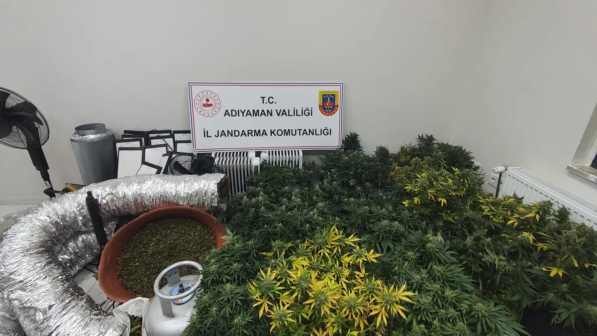 Jandarmadan uyuşturucu operasyonu: 1 gözaltı