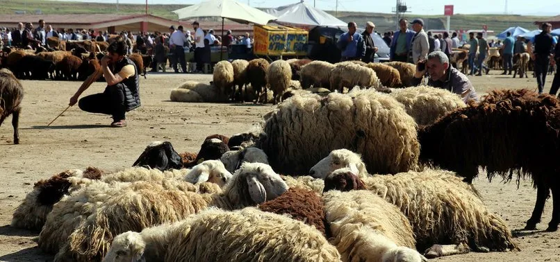 Bayram tatili hangi günler? 2022 Kurban Bayramı tatili ne zaman başlıyor, bitiyor? Kaç gün tatil yapılacak?
