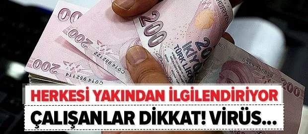 Virüs raporu parası devletten