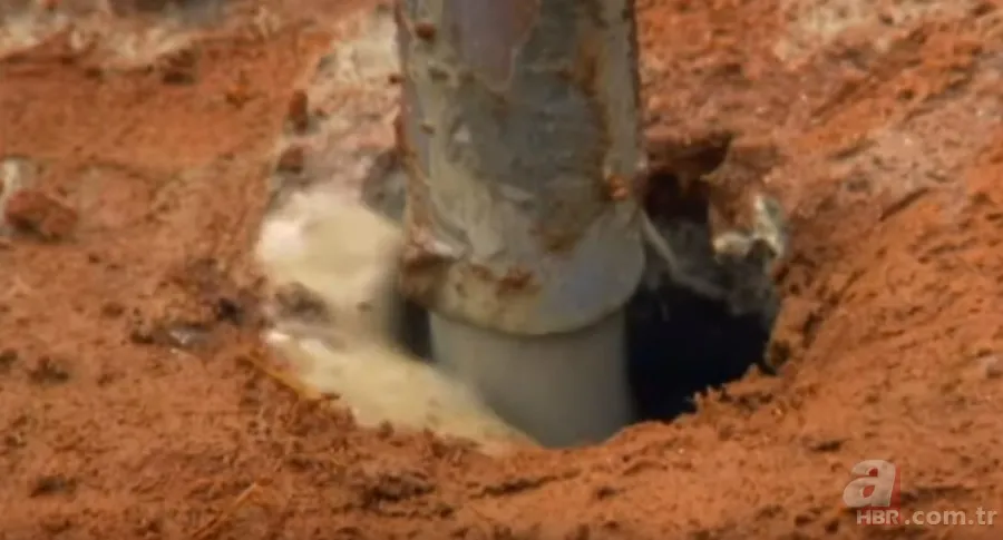 Karınca yuvasından sanat eseri çıktı 🐜 Vahşi doğanın usta mimarları! Otoban, yan yol ve patika bile yapmışlar 4