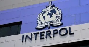 FETÖ ve PKK’ya Interpol kalkanı