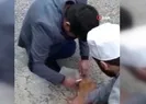 Kafası bidona sıkışan köpeği yoldan geçen imamlar kurtardı