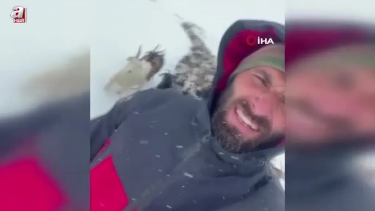 Avusor Yaylası'nda mahsur kalan 500 küçükbaş hayvan kurtarıldı