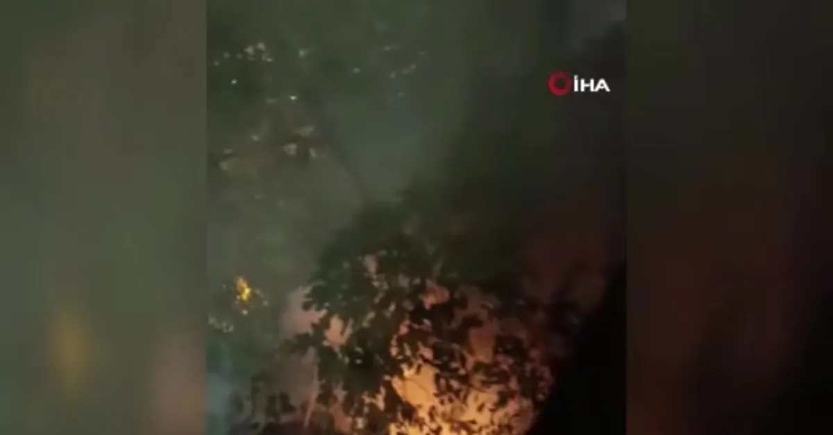 Bursa'da havai fişek yangına neden oldu