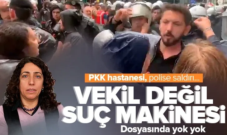 Polise yumruk atan DBP’li vekil Salihe Aydeniz suç makinesi çıktı! PKK hastanesi, terörist tedavisi...