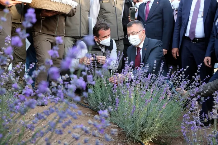 Cumhurbaşkanı Yardımcısı Fuat Oktay: Bölgesinde sözü dinlenen bir Türkiye var