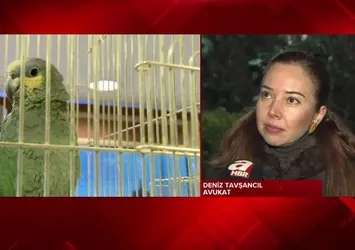 Hayvan hakları yasası değişiyor