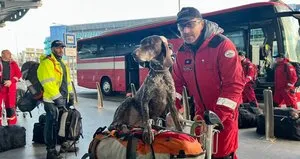 Hayat kurtaran köpekler