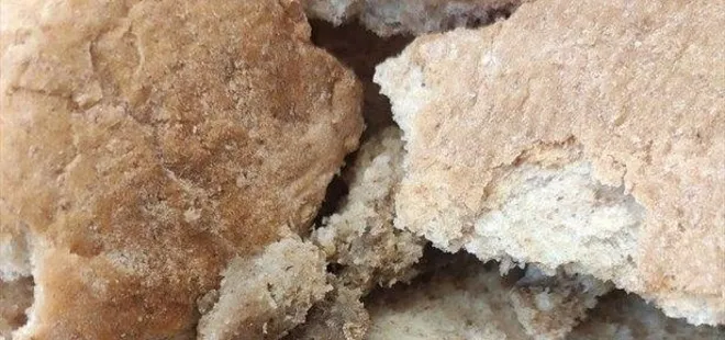 Vatandaşın sağlığıyla oynanıyor! Ankara Halk Ekmek’te bir skandal daha: Bakteriden sonra şimdi de...