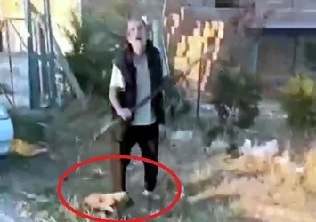 Ankara'da vahşet! Yavru köpeği dirgen saplayarak öldürdü