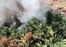 Diyarbakırda uyuşturucu operasyonu!