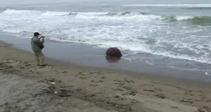 İstanbul Boğazı’nda serseri mayın paniği!