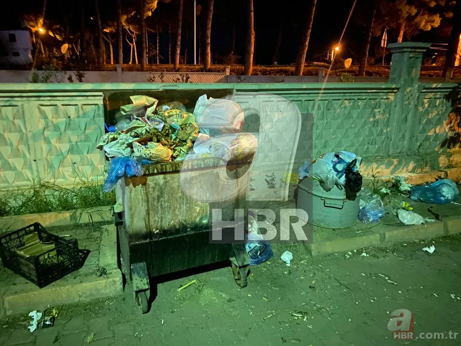 CHP'li Sultanhisar Belediyesi'ne tepki! Çöp yığınları vatandaşları isyan ettirdi | Koku nedeniyle bahçede oturamaz hale geldiler 2