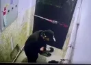 Pes dedirten hırsız! Beğenmediğine tükürdü