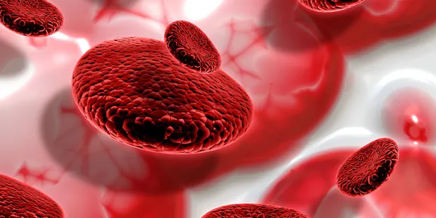 cabuk-yorulma-nefes-darligi-enerji-kaybi-gibi-belirtiler-varsa-hemen-kontrol-ettirin-tedavisi-sart-ilk-olarak-1702899656990.jpg Çabuk yorulma, nefes darlığı, enerji kaybı gibi belirtiler varsa hemen kontrol ettirin! Tedavisi şart ilk olarak kansızlık yapıyor! - 1