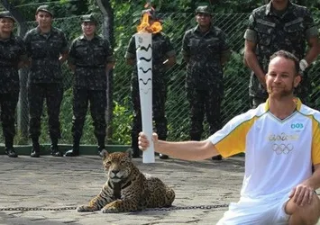 Brezilya'da tasmasından kurtulan jaguar Juma öldürüldü