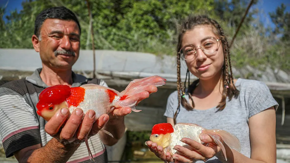 Son dakika | Siparişler kapıda birikti! Çok sayıda ülke kapış kapış alıyor