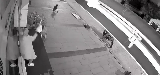 Dükkanı açan kadın dehşeti yaşadı: Sokak köpekleri böyle saldırdı