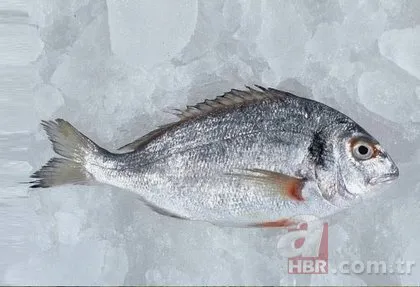 Kuran’da adı geçen şifalı yiyecekler!
