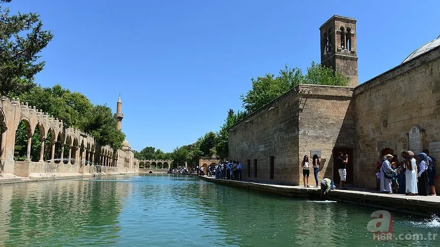 Balıklıgöl Hikayesi | Balıklar neden yenmiyor? Hz. İbrahim'in Balıklıgöl kıssası gerçek mi? Kur'an-ı Kerim'de anlatılıyor mu? 11