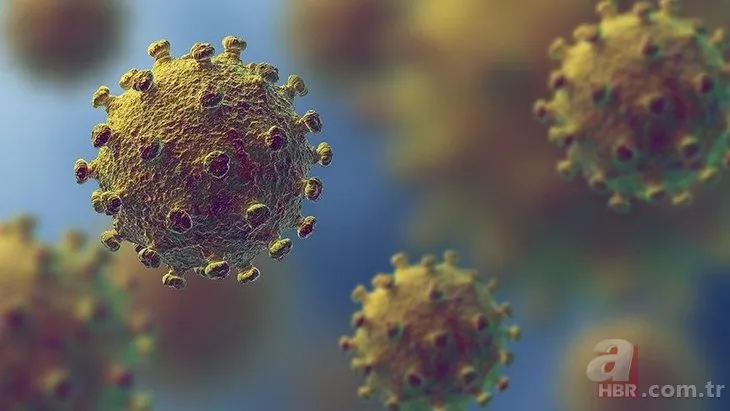 Bilim insanlarından önemli uyarı: Koronavirüs mutasyona uğradı artık daha bulaşıcı