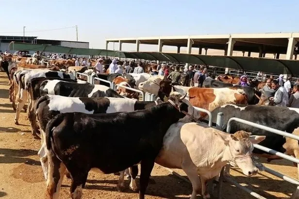 Kurban Bayramı tatili ne zaman, kaç gün olacak? Kurban Bayramı tatili hangi gün başlayacak 2023? - 3