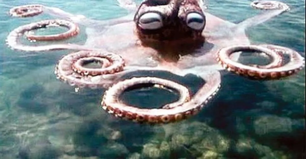 kopf tuch porn 889 saatleri