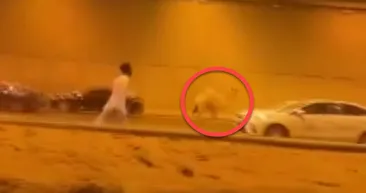 Otoyola girip trafiği birbirine kattı! Metrelerce kovaladılar... Aracın çarpmasına rağmen devam etti