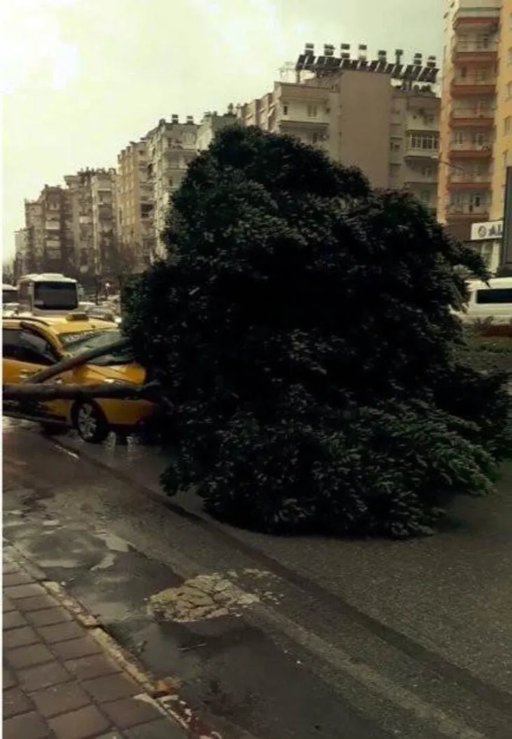 Antalya'yı fırtına yıktı geçti! Uçaklar inemedi, ağaçlar devrildi, araçlar mahsur kaldı
