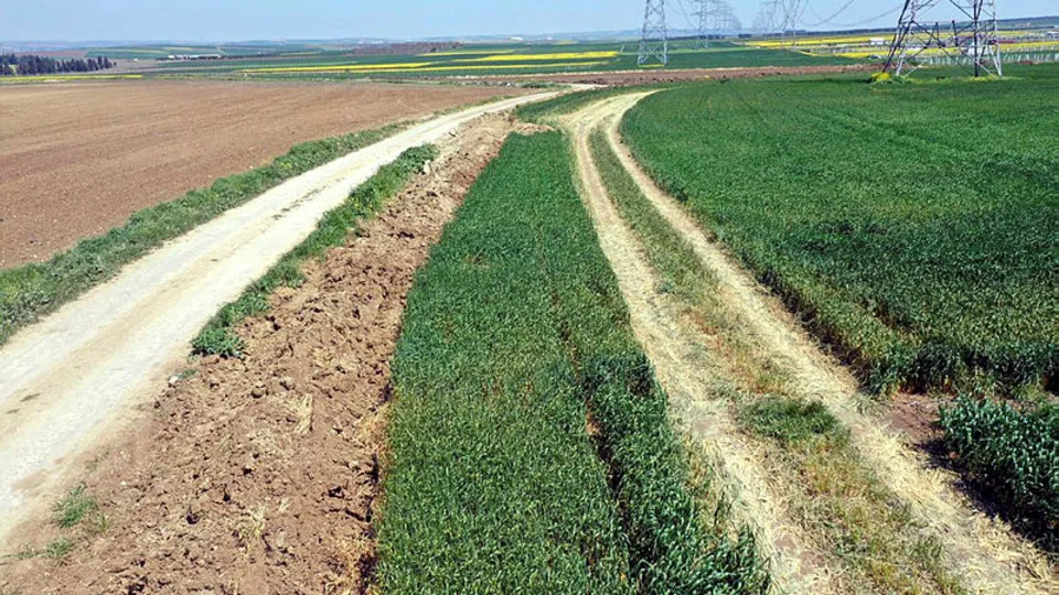 Tekirdağ’da tarlalardan kaçak geçiş yapanlara karşı jandarmadan motosikletli denetim