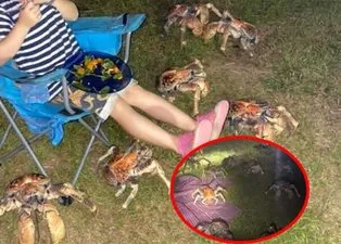 Kampı bastılar! Görenlerin ödü koptu...