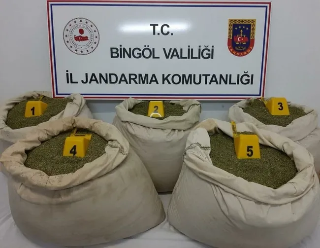 Bingöl’de terör örgütüne ait depo ve sığınaklarda 135 kilogram toz esrar ele geçirildi - 2