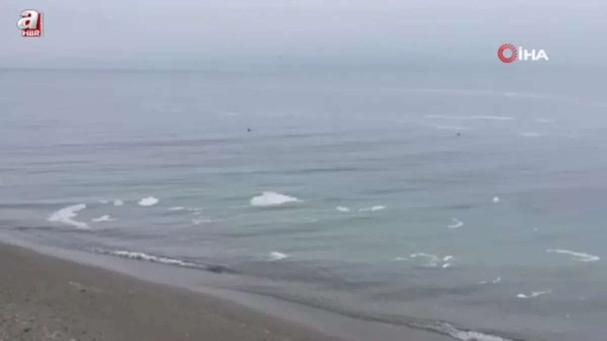 Mudanya'yı müsilaj sardı deniz beyaz tabakayla örtüldü