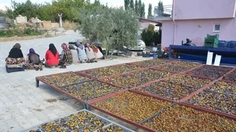 Manisa'da "Figan-i Efendi"ye yoğun talep! 4 günde hazırlanıyor
